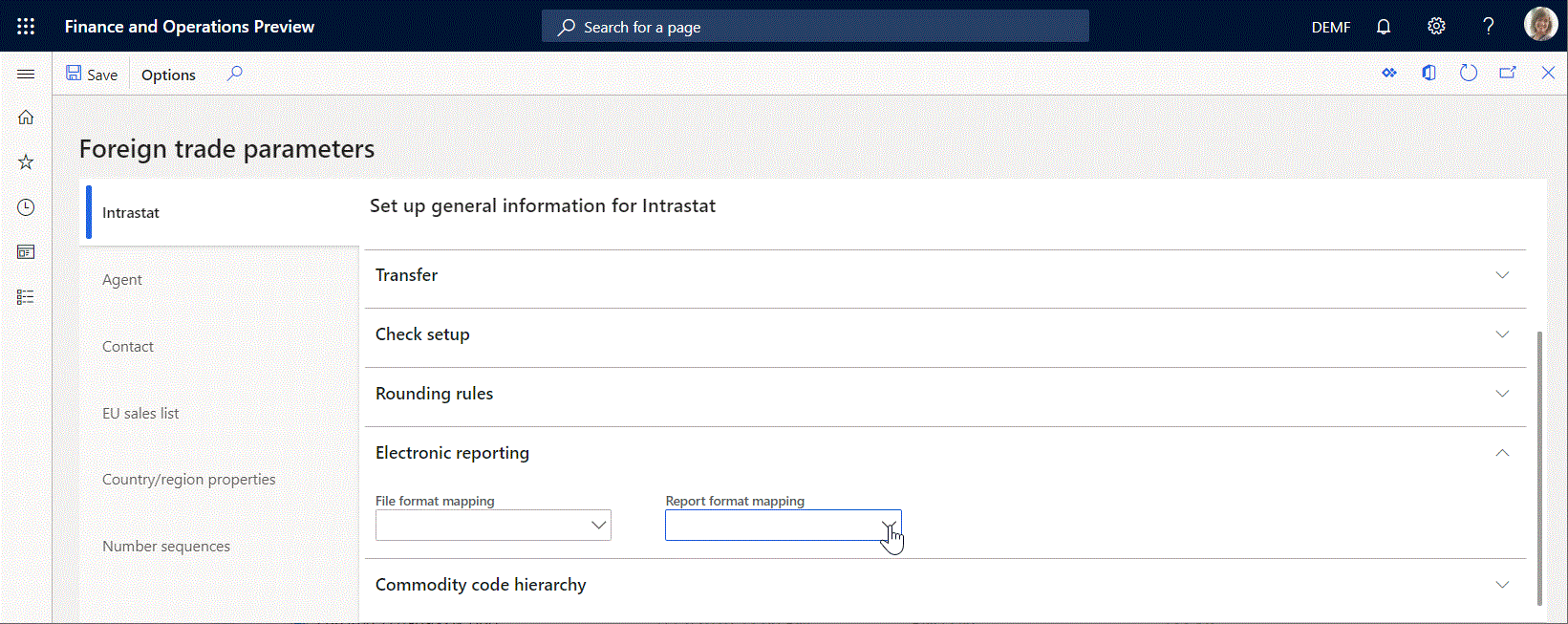 Foreign trade parameters page, empty Report format mapping field.