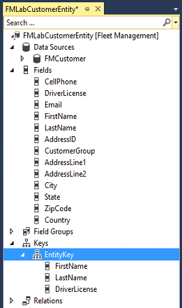 Screenshot of FMLabCustomerEntity.