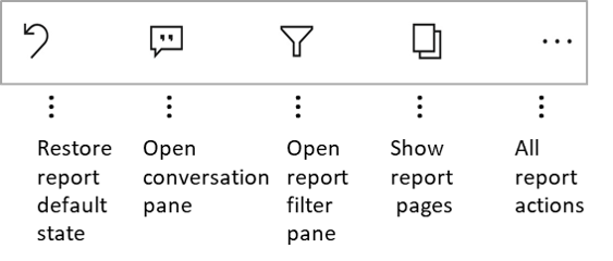 Screenshot of report footer showing available action buttons.