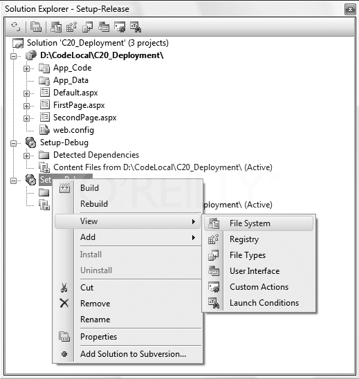 Further setup project customizations in the Solution Explorer