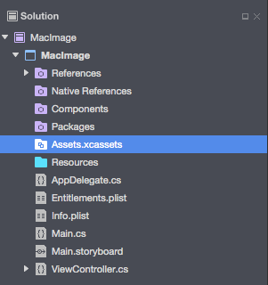 Selecting the Assets.xcassets Selecting the Assets.xcassets