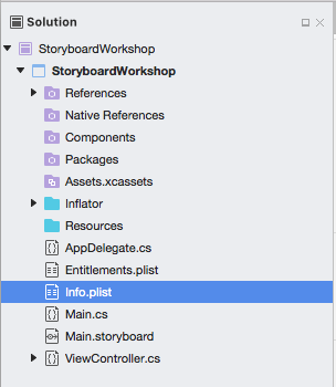 Selecting the Info.plist file Selecting the Info.plist file