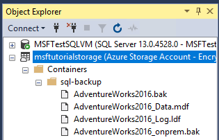 Screenshot from Object Explorer in SSMS showing the data files within container, on Azure beneath a SQL Server instance entry.